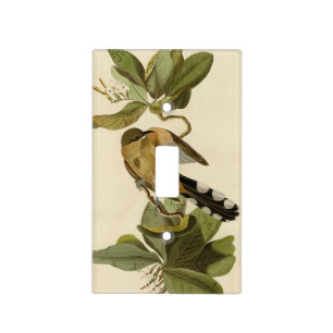 Mangrove Cuckoo from Audubon's Birds of America Light Switch Cover