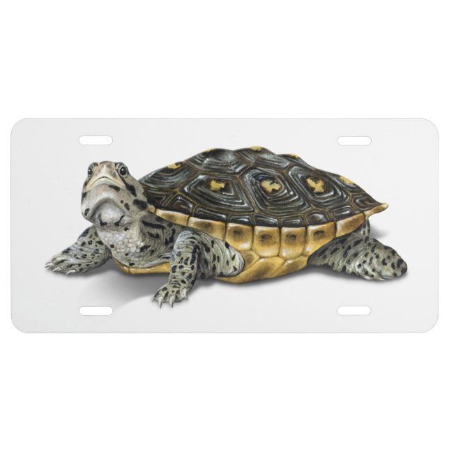 Mangrove Diamondback Terrapin License Plate (Front)