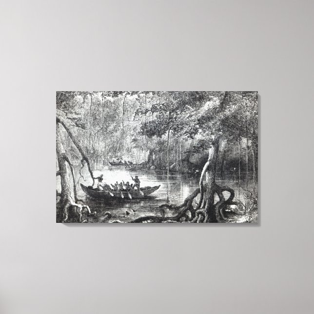 Mangrove Forest' Canvas Print (Front)