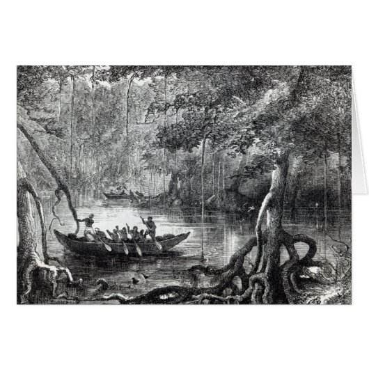 Mangrove Forest' Cards (Front Horizontal)