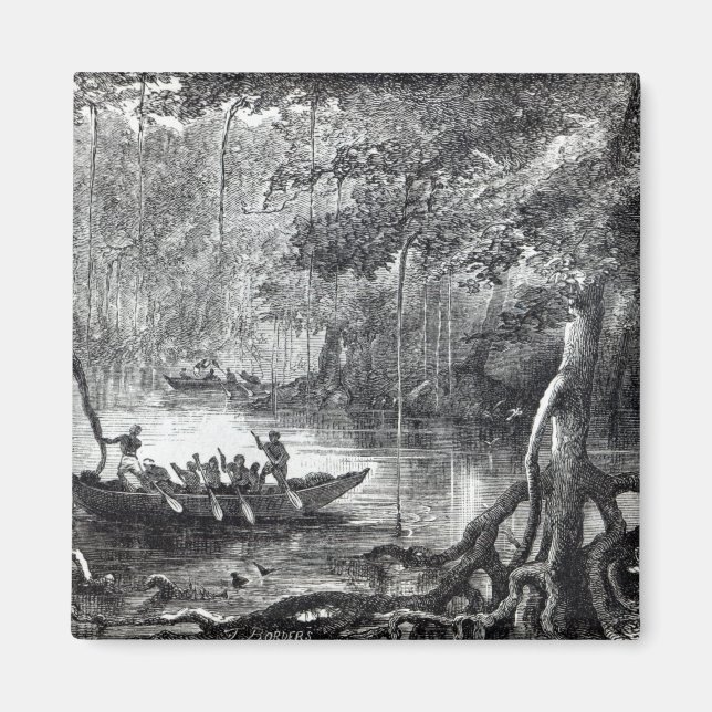 Mangrove Forest' Magnet (Front)