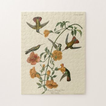 Mangrove Hummingbird Jigsaw Puzzle by birdpictures at Zazzle
