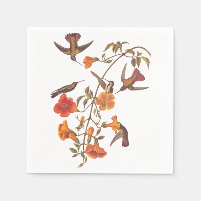 Mangrove Hummingbird with Orange Flowers Paper Napkins (Front)