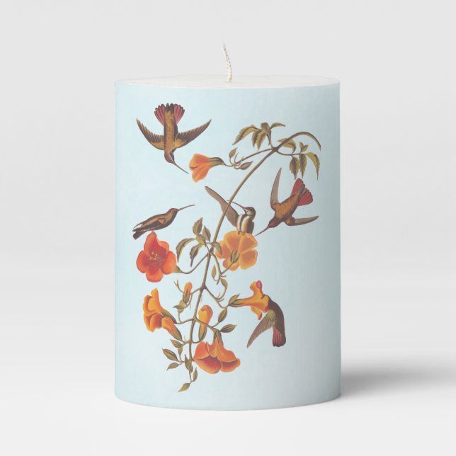Mangrove Hummingbirds with Orange Trumpet Flowers Pillar Candle (Front)