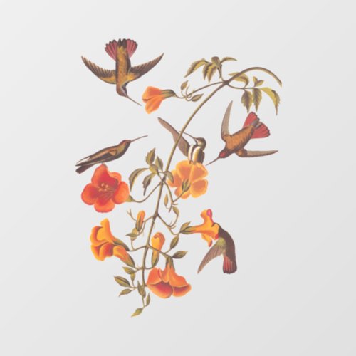 Mangrove Hummingbirds with Orange Trumpet Flowers Window Cling