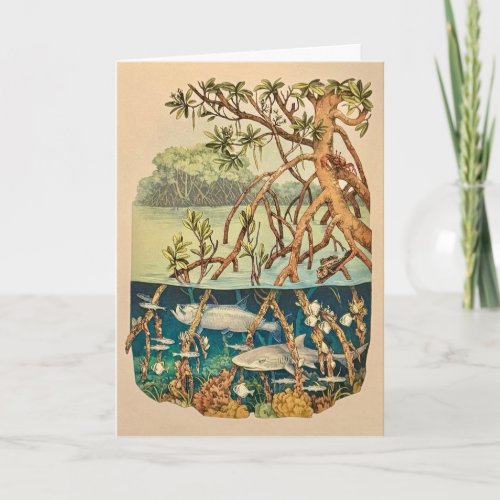 Mangrove Island Note Card