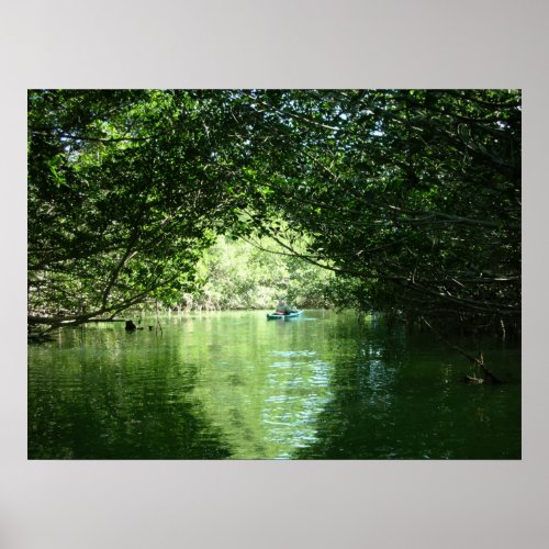 Mangrove Kayaking Poster