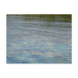 Mangrove Lagoon Water Caribbean Blue Postcard