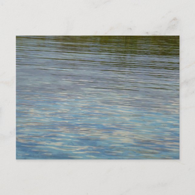 Mangrove Lagoon Water Caribbean Blue Postcard (Front)