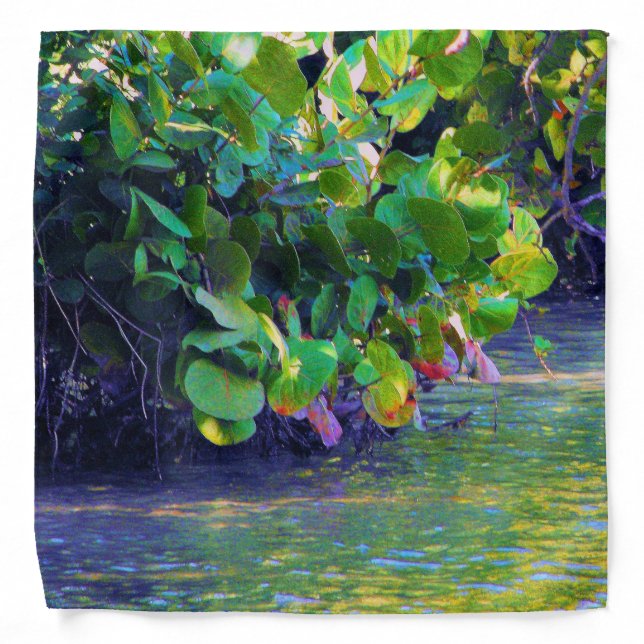 Mangrove Lagoon with Sea Grapes Bandana (Front)