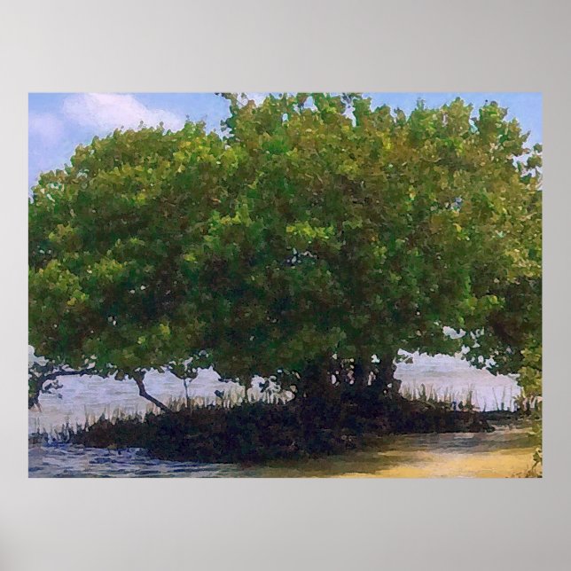 Mangrove on the Gulf Poster (Front)