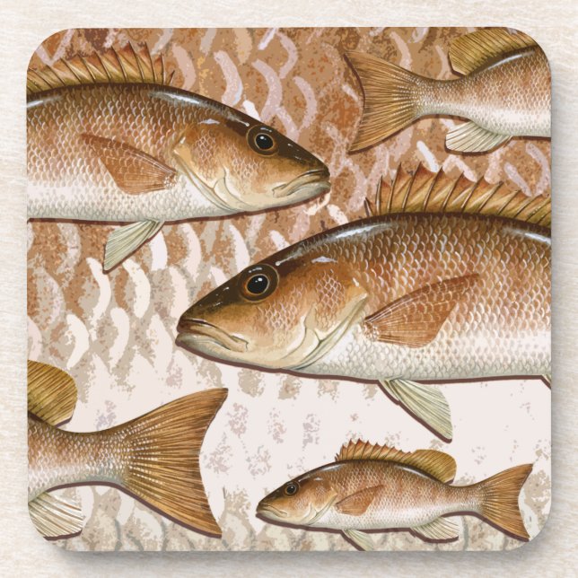 Mangrove Snapper (Gray Snapper) Coasters (Front)