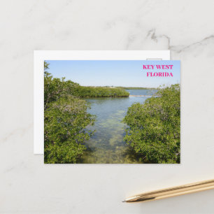 Mangroves Blue Ocean Waterway  Key West Florida  Postcard
