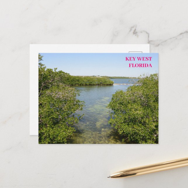 Mangroves Blue Ocean Waterway  Key West Florida  Postcard (Front/Back In Situ)