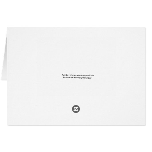 Manhattan Beach Pier Sunset (Back Horizontal)