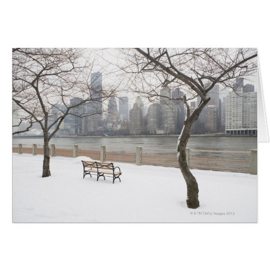 Manhattan in the Winter Cards (Front Horizontal)