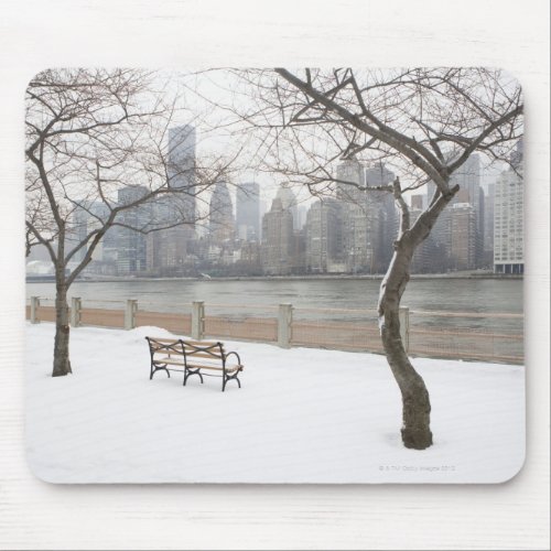 Manhattan in the Winter Mouse Pad