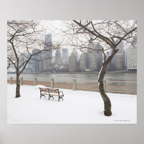 Manhattan in the Winter Poster
