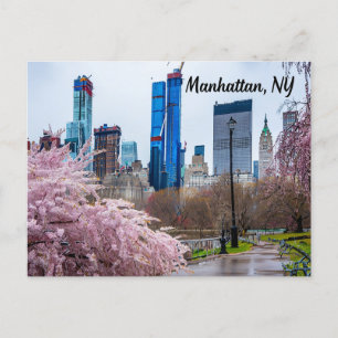 Manhattan, NY Cherry Blossom in Spring Postcard