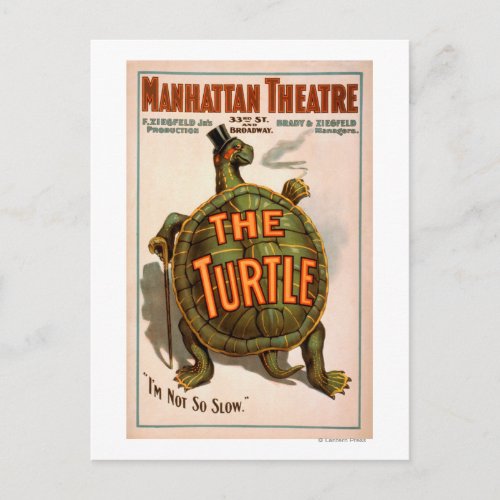 Manhattan Theatre New York Broadway The Turtle Postcard