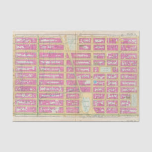 Manhatten, New York 12 Tissue Paper