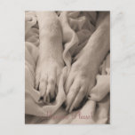 Manicure Please ~ Postcard