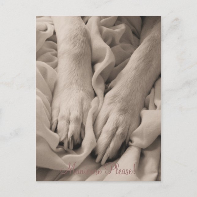 Manicure Please ~ Postcard (Front)