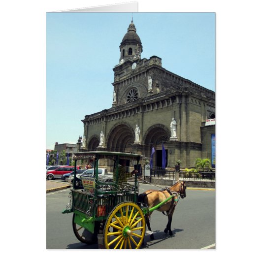 manila cathedral horse (Front)