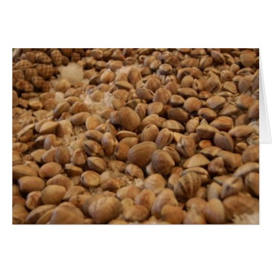 manila clams cards (Front Horizontal)