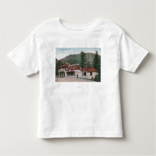 Manitou Springs, CO Toddler T-shirt