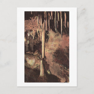 Manitou Springs, Colorado Postcard