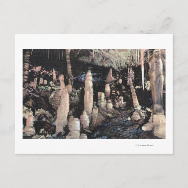 Manitou Springs, Colorado Postcard (Front)