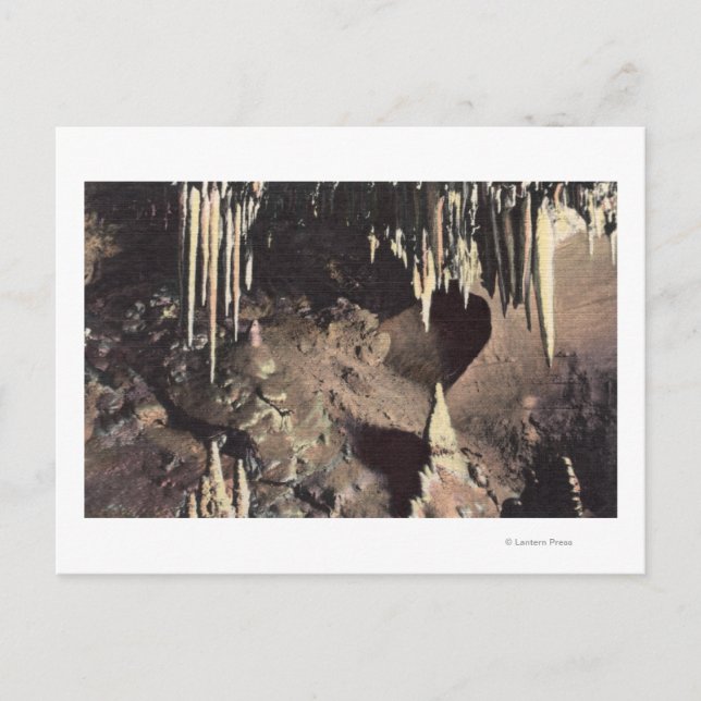 Manitou Springs, Colorado - The Bridal Chamber Postcard (Front)