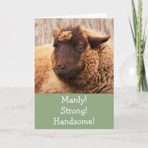 Manly Sheep Birthday Card