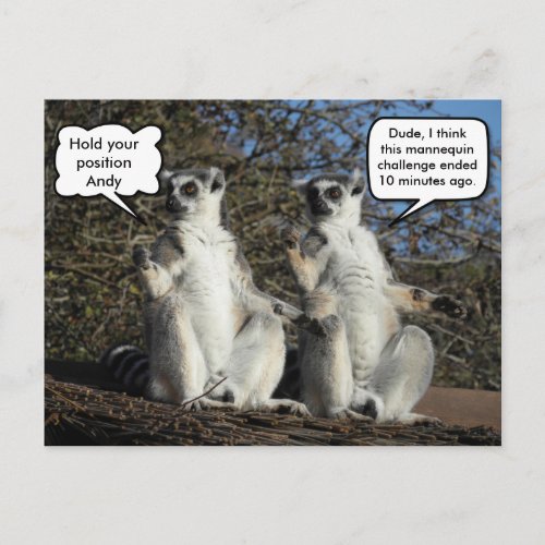 Mannequin Challenged Lemurs Postcard