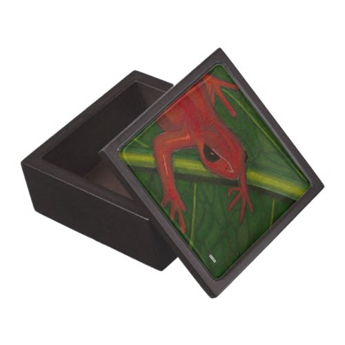 Manny The Mantella Frog Gift Box