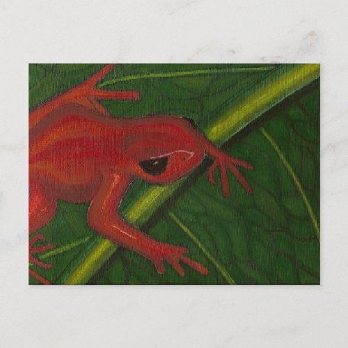 Manny The Mantella Frog Postcard