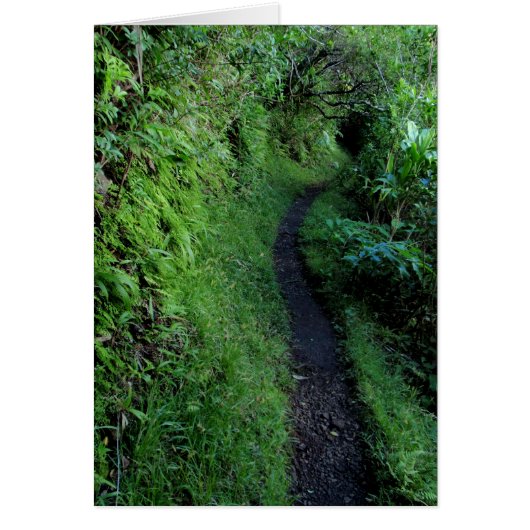 Manoa Cliffs Trail Cards (Front)
