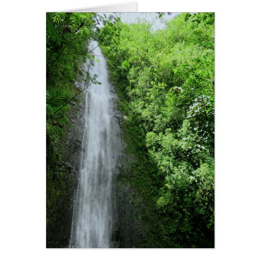 Manoa Falls Cards (Front)