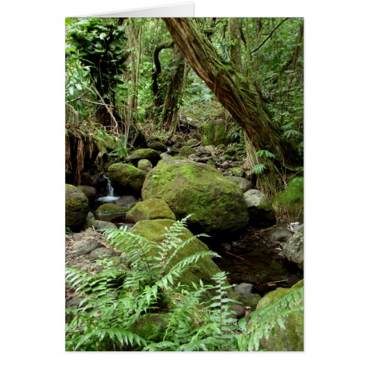 Manoa Stream Cards (Front)