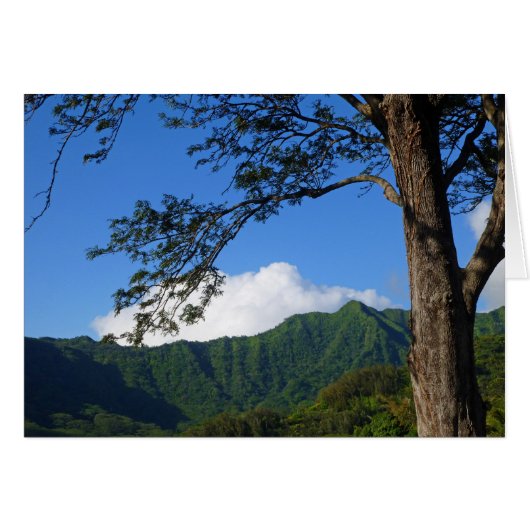 Manoa Valley (Front Horizontal)