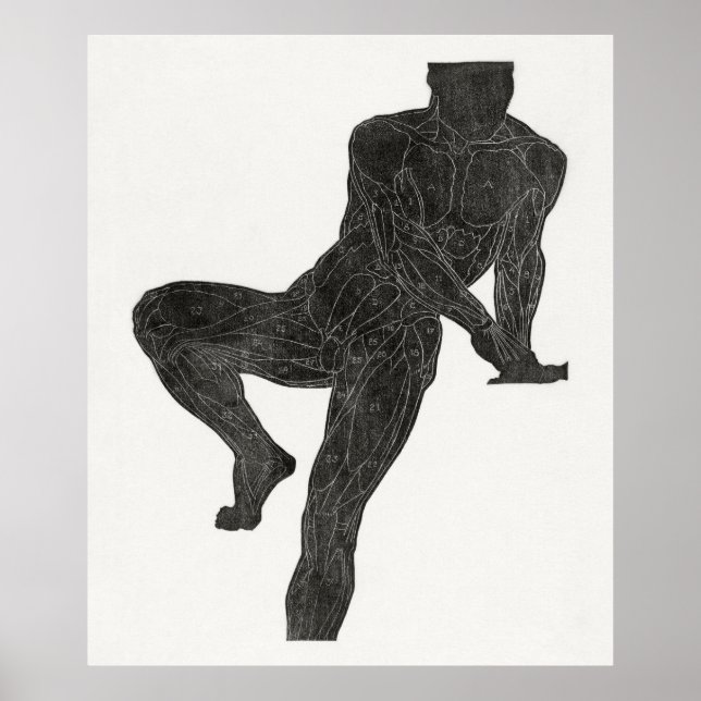 Man's Anatomy 2 Poster (Front)