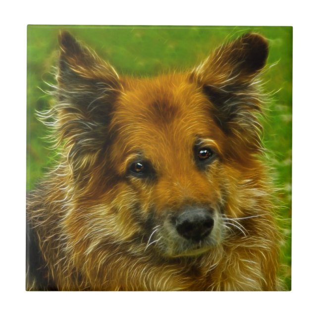 Man's Best Friend #2 Ceramic Tile (Front)