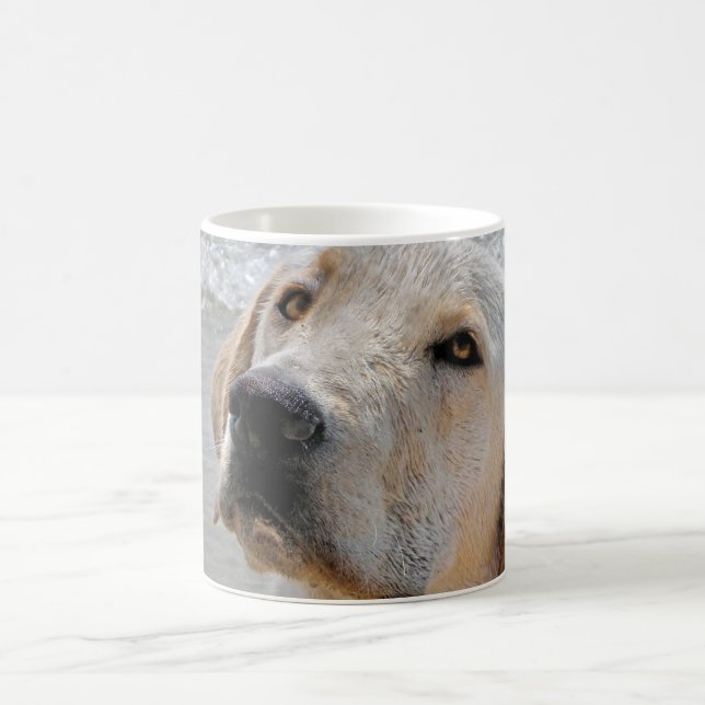 Man's Best Friend Coffee Mug (Center)