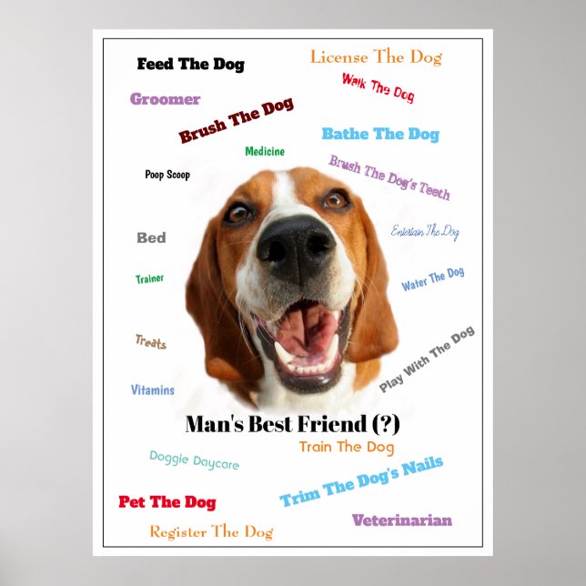 Man's Best Friend (?)  Poster (Front)