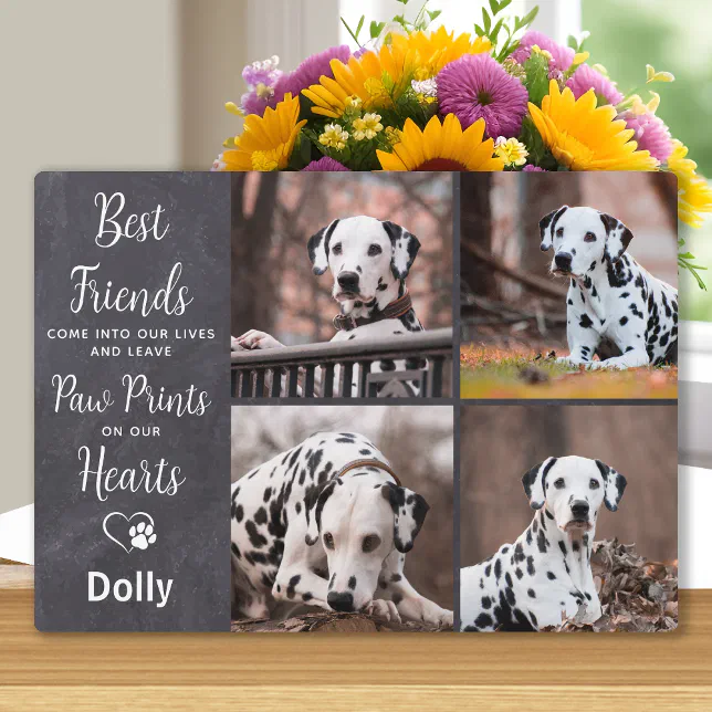Man's Best Friend Sympathy Photo Dog Pet Memorial Plaque | Zazzle