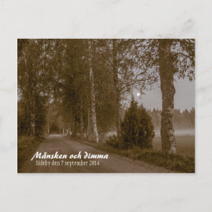 Månsken och dimma CC0545 Sideby Postcard