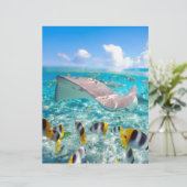 Manta Ray (Standing Front)