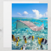 Manta Ray (Front/Back)