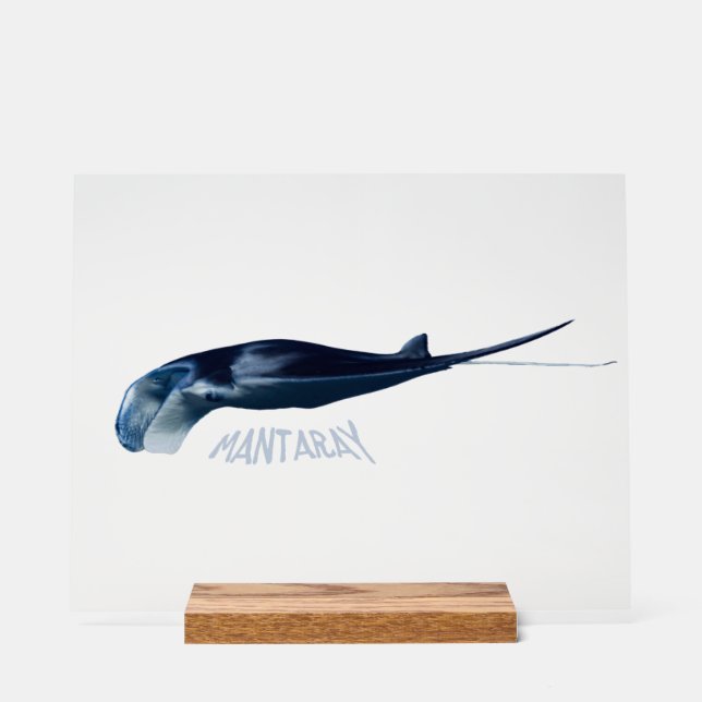 Manta Ray Acrylic Sign (Front)